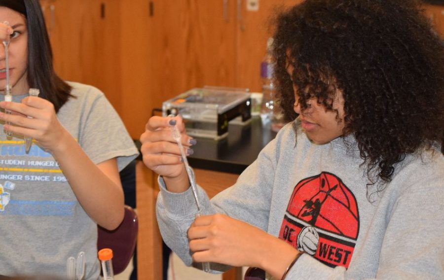 Students at West are testing DNA.