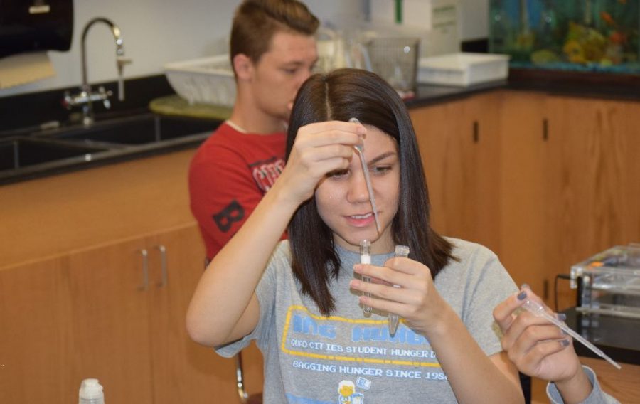 A student at west is adding a salt solution to her DNA.