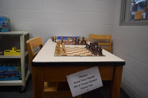 Falcons play chess