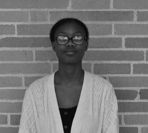 Photo of Olaoluwa Johnson